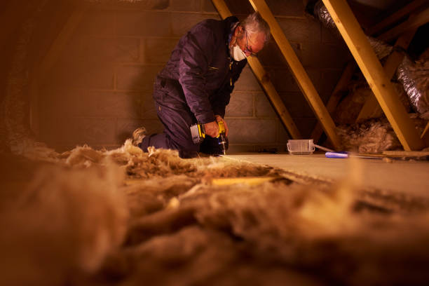 Types of Insulation We Offer in Laurel, MD